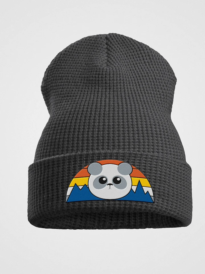 Pandah Beanie product image (1)