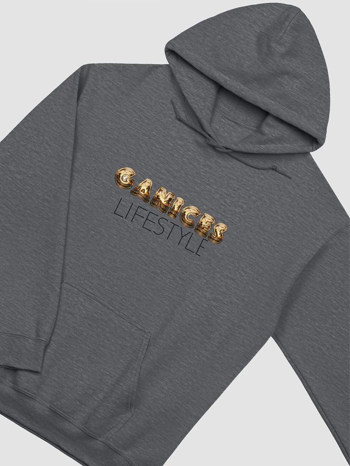 Ganice's Lifestyle: Icon Hoodie product image (17)