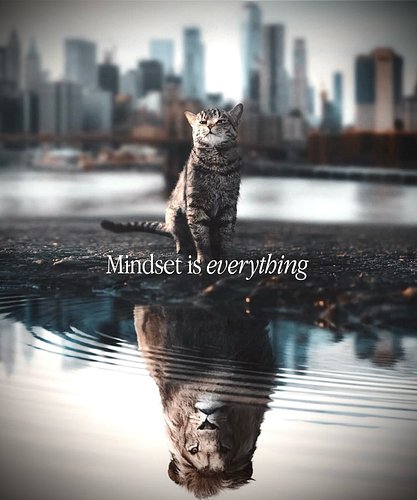 Who looks back at you when you look in the mirror?