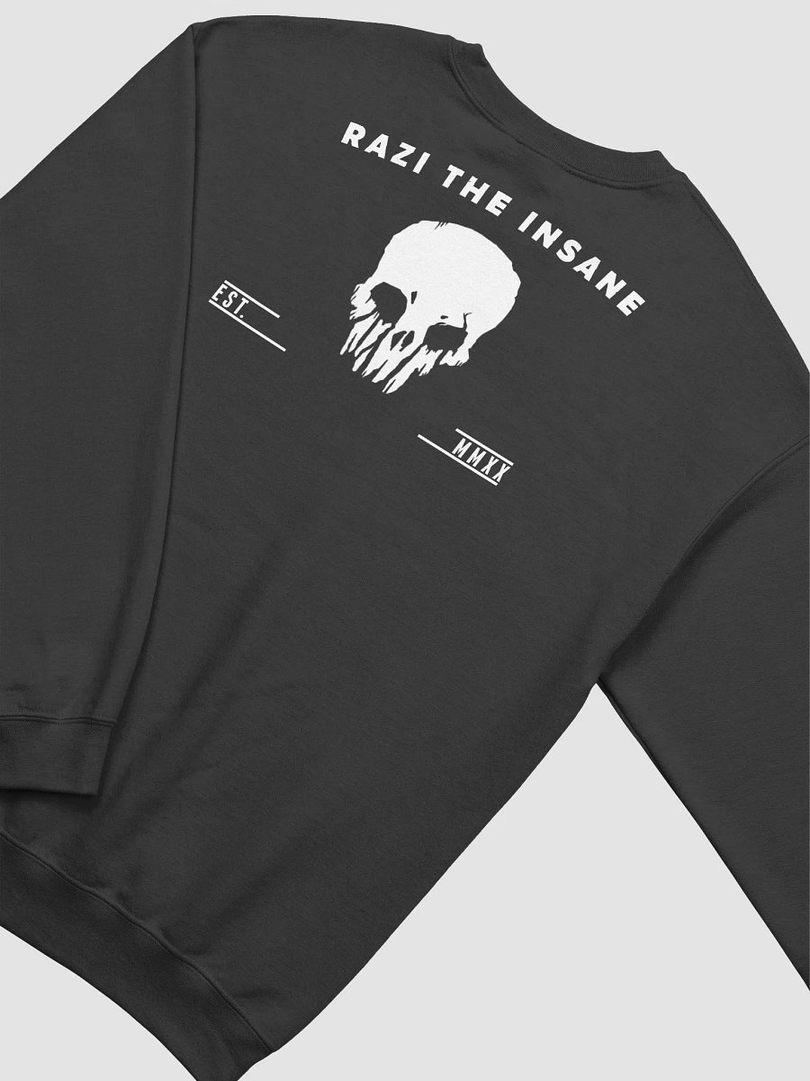 Crewneck Sweater Established 2020 product image (4)