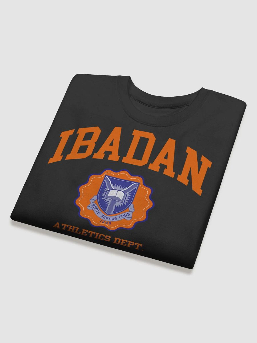 Ibadan Athletics Department Sweatshirt product image (4)