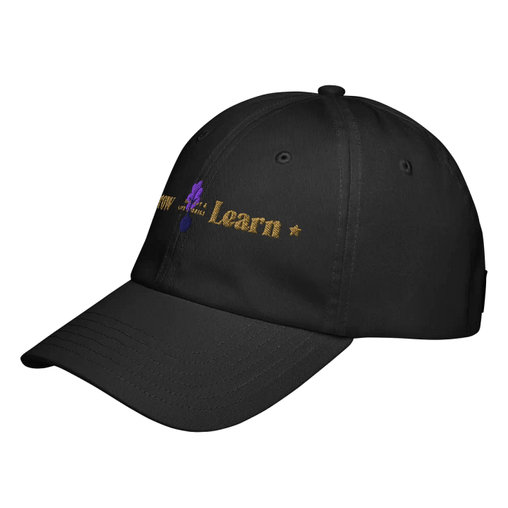 Insights & Ideas Floral Dad Hat product image (7)