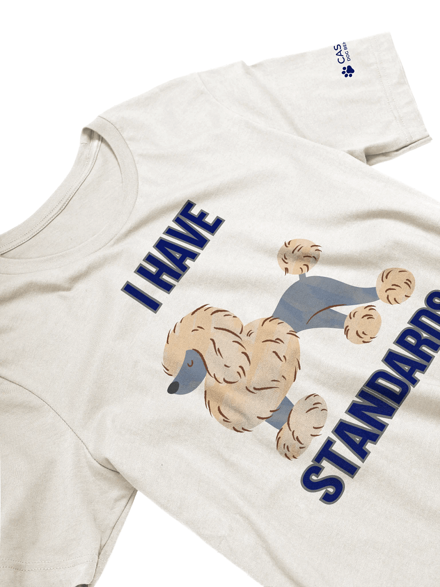 I HAVE STANDARDS T-Shirt product image (7)