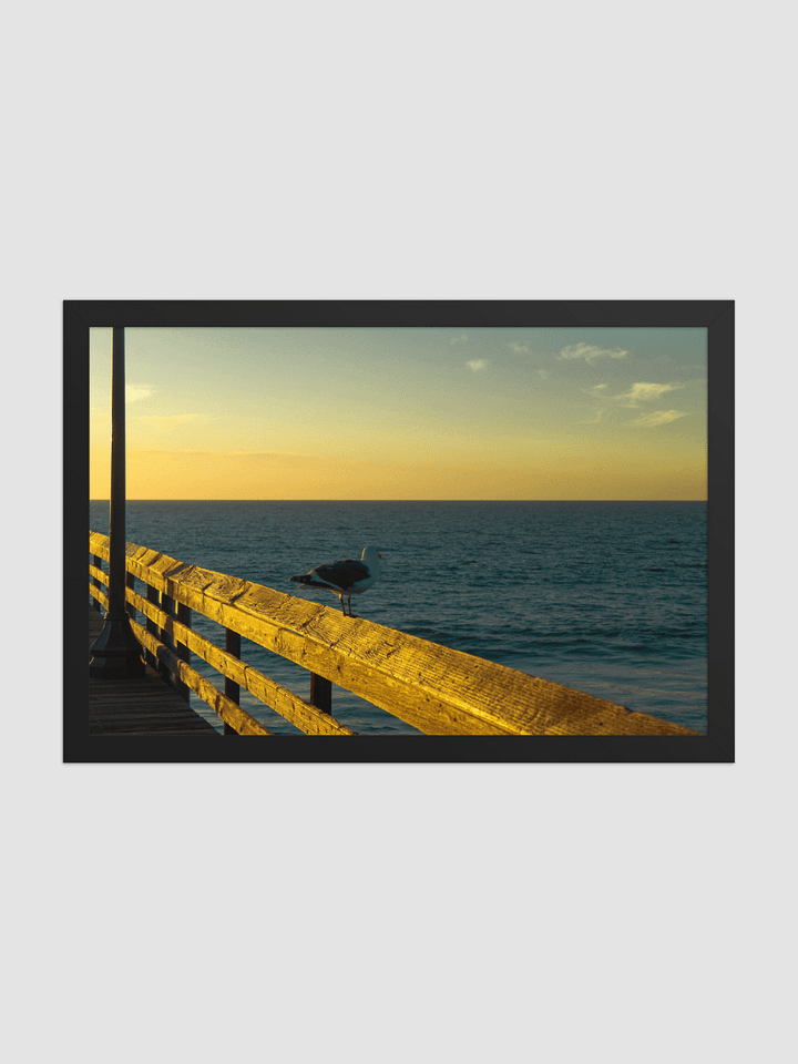 Pondering seagull Framed photography Poster product image (1)