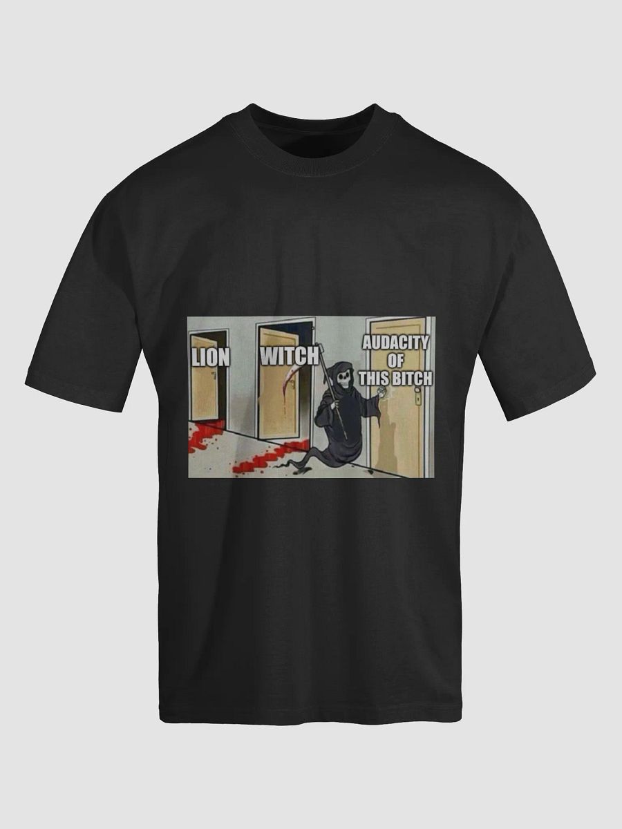 has anybody ever actually read the lion the witch and the wardrobe product image (5)
