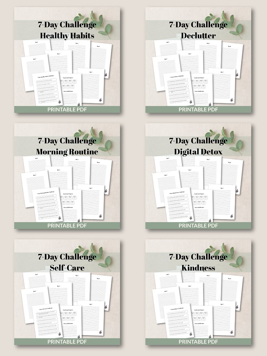 25 Printable 7-Day Challenges Mega Bundle product image (7)