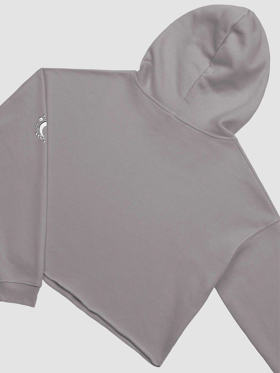 Yapper's Gate Duo Cropped Hoodie product image (28)