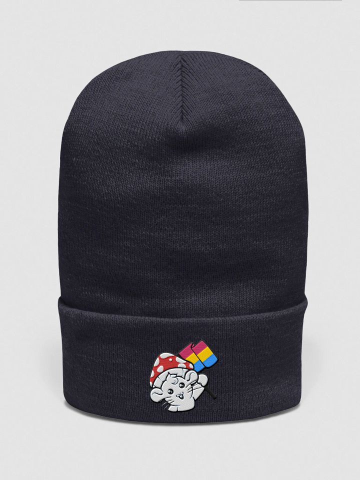 Pansexual beanie product image (6)
