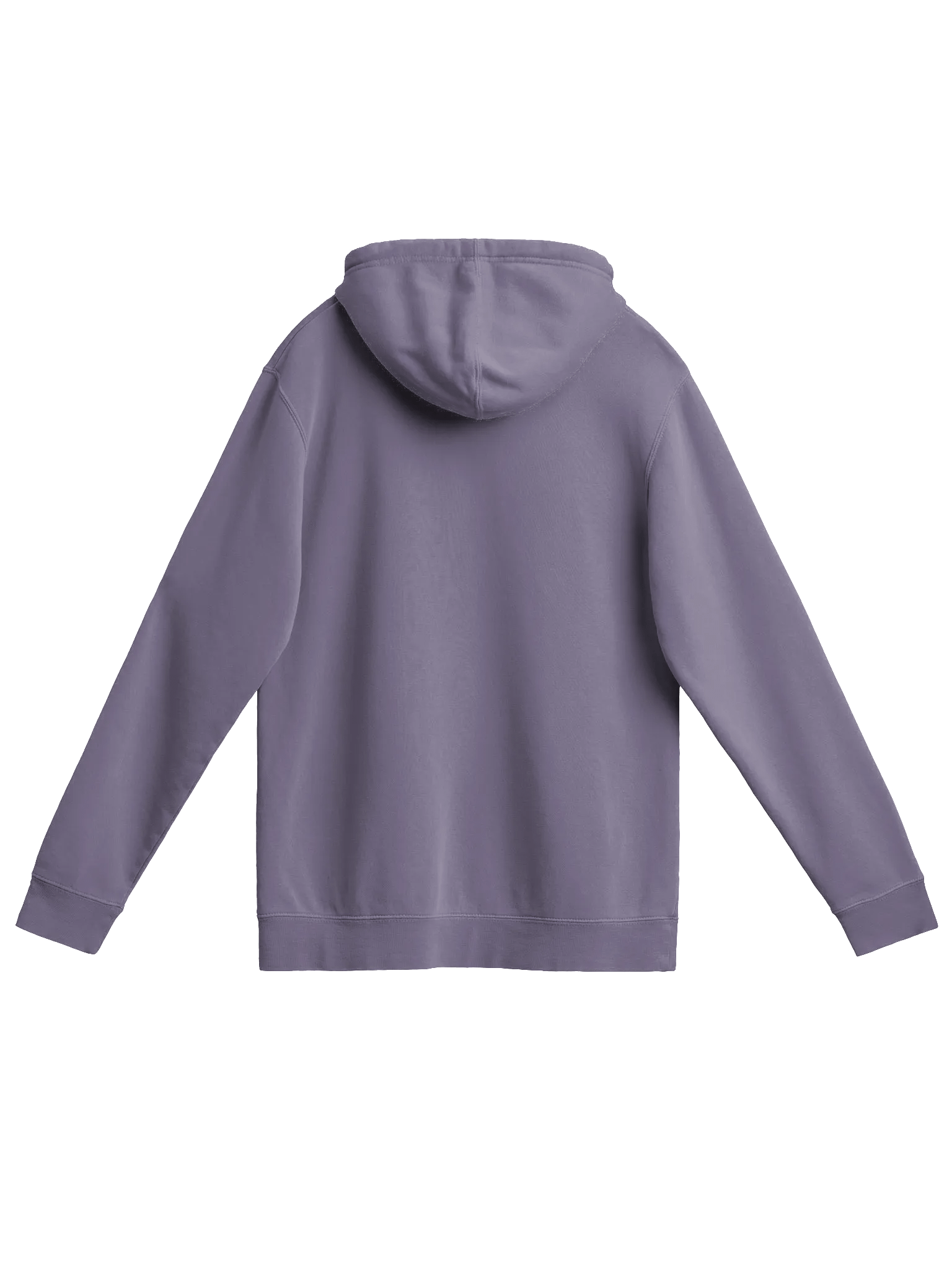 Game Dude COLOR Pigmented Hoodie product image (2)