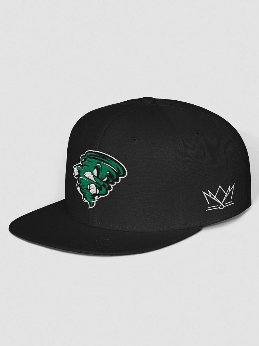 Arkansas Twisters Gridiron Clothing Snapback Hat product image (8)
