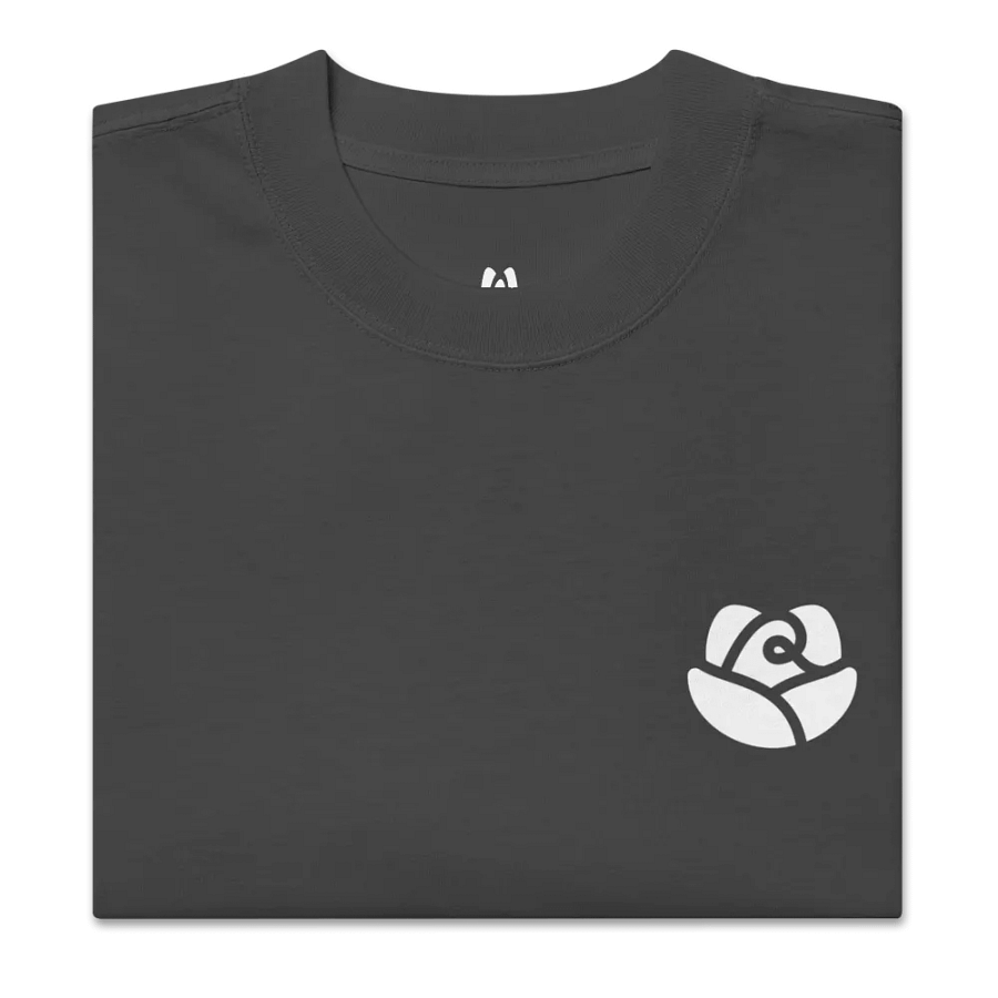 AS Colour Premium Oversized Faded T-Shirt product image (3)