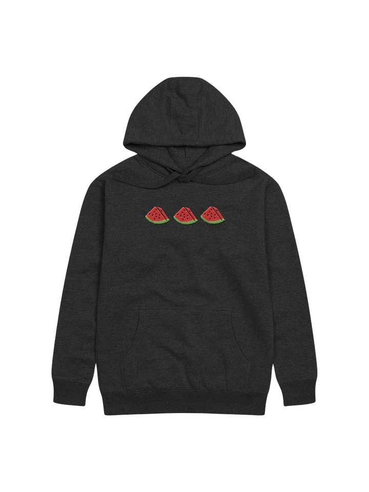 Sandia Embroidered Hoodie (black) product image (1)