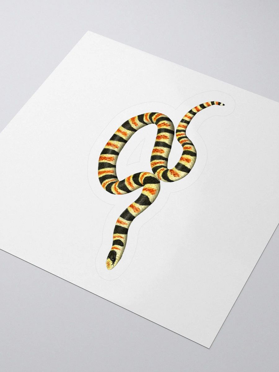 Die-Cut Sticker – Resplendent Shovelnosed Snake product image (3)