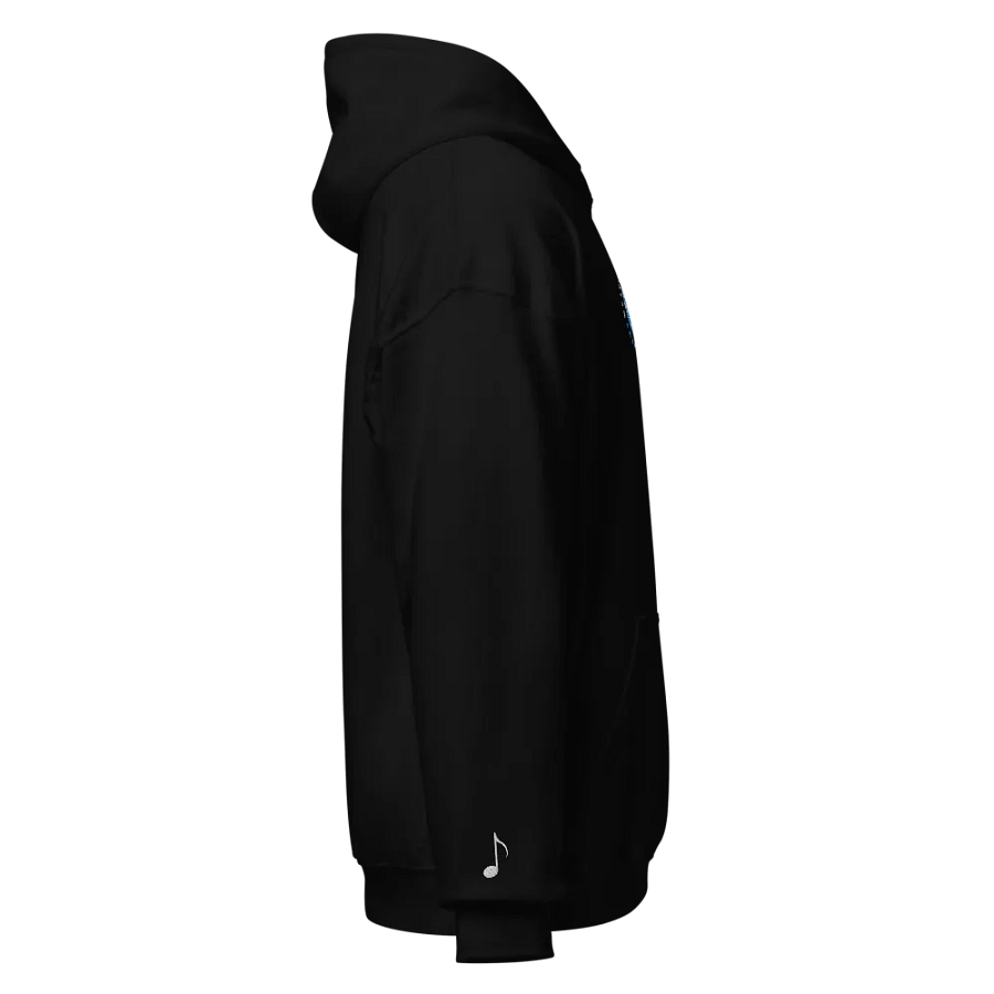 Embroidered "SabaSphere" Hoodie product image (6)