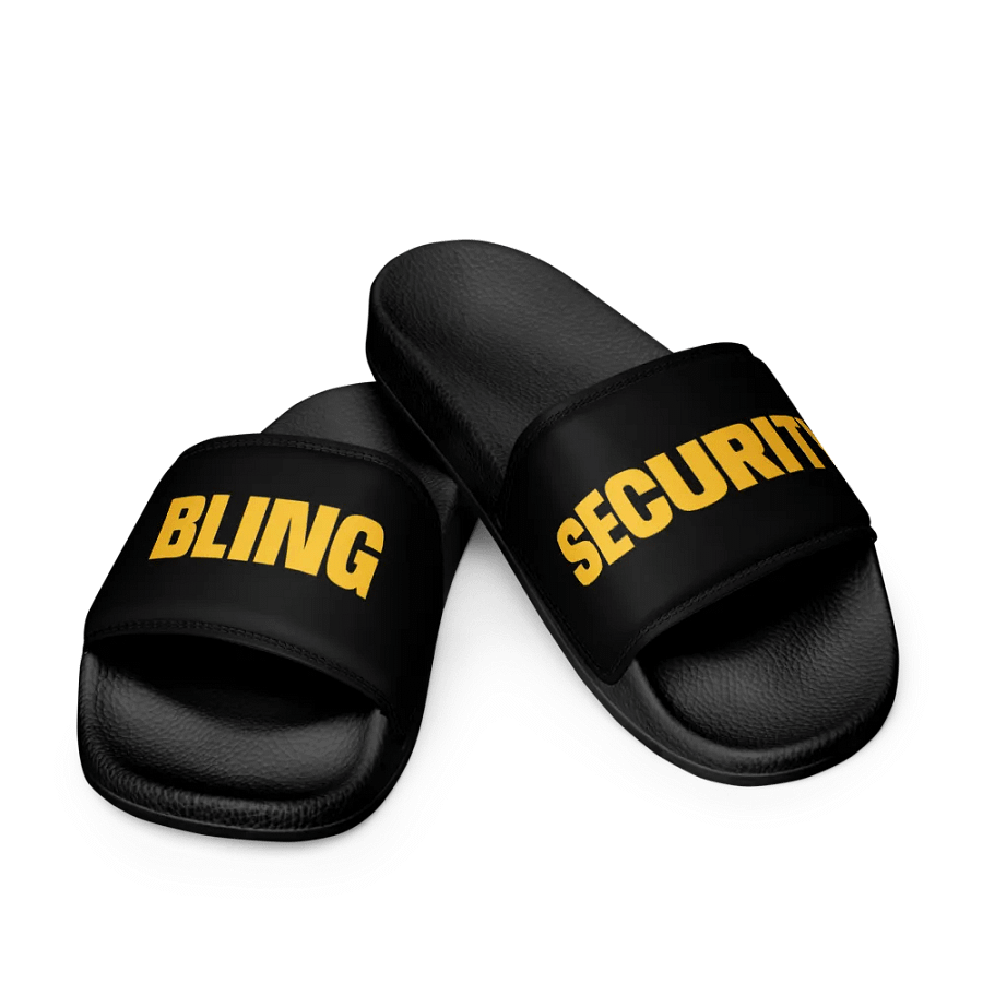 Security Slides product image (9)