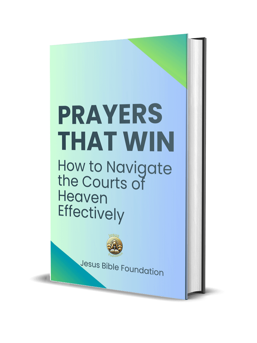 Prayers That Win: How to Navigate the Courts of Heaven Effectively product image (1)