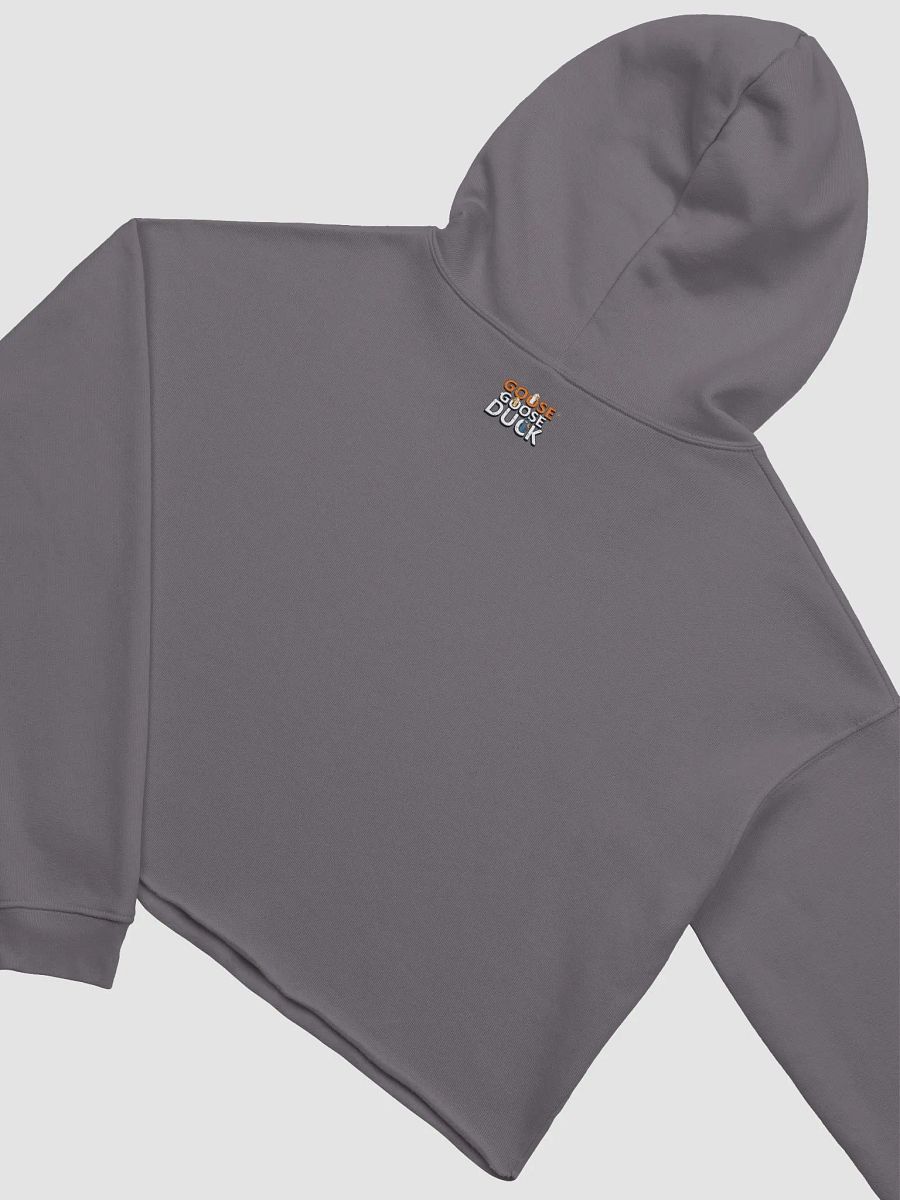 Spicy Flavoured Crop Hoodie product image (4)