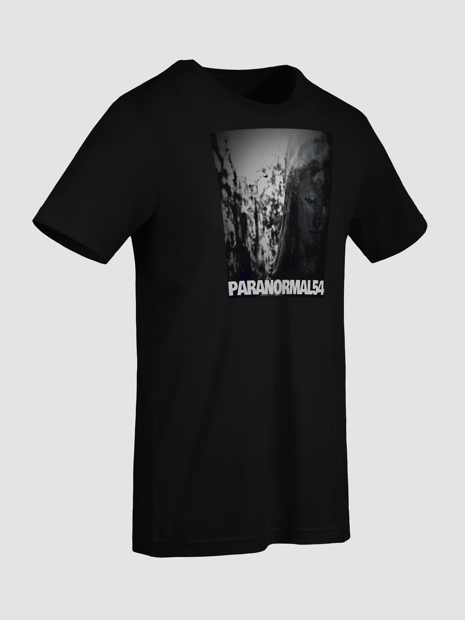 Haunted Mother Mary Statue T-Shirt product image (5)