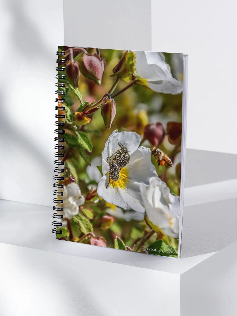 📘 Notebook Collection PURE – Jardin du Rayol – Partage de pollen product image (4)