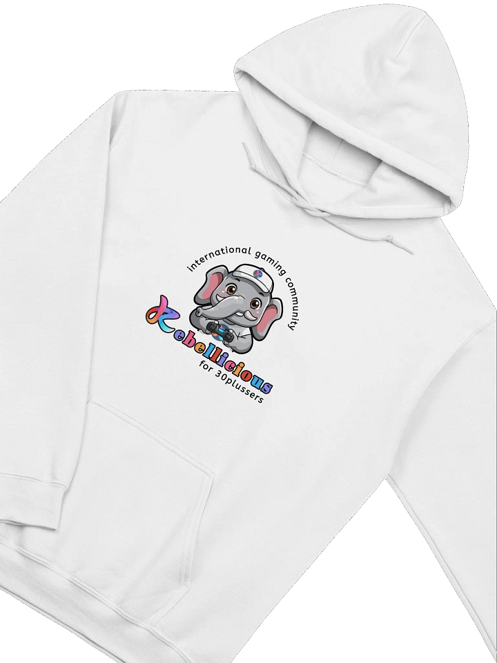 Gildan Classic Hoodie product image (2)