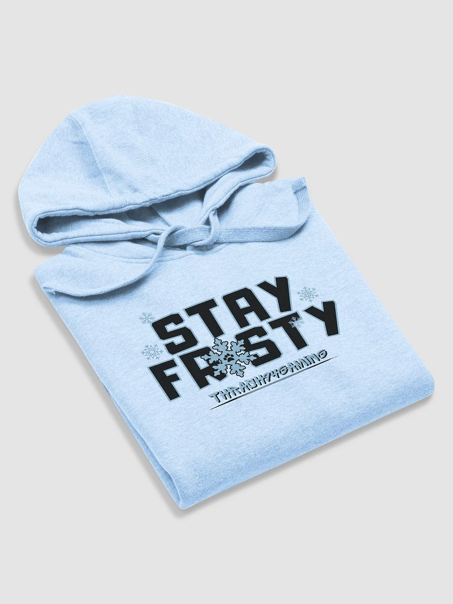 Stay Frosty Hoodie product image (66)