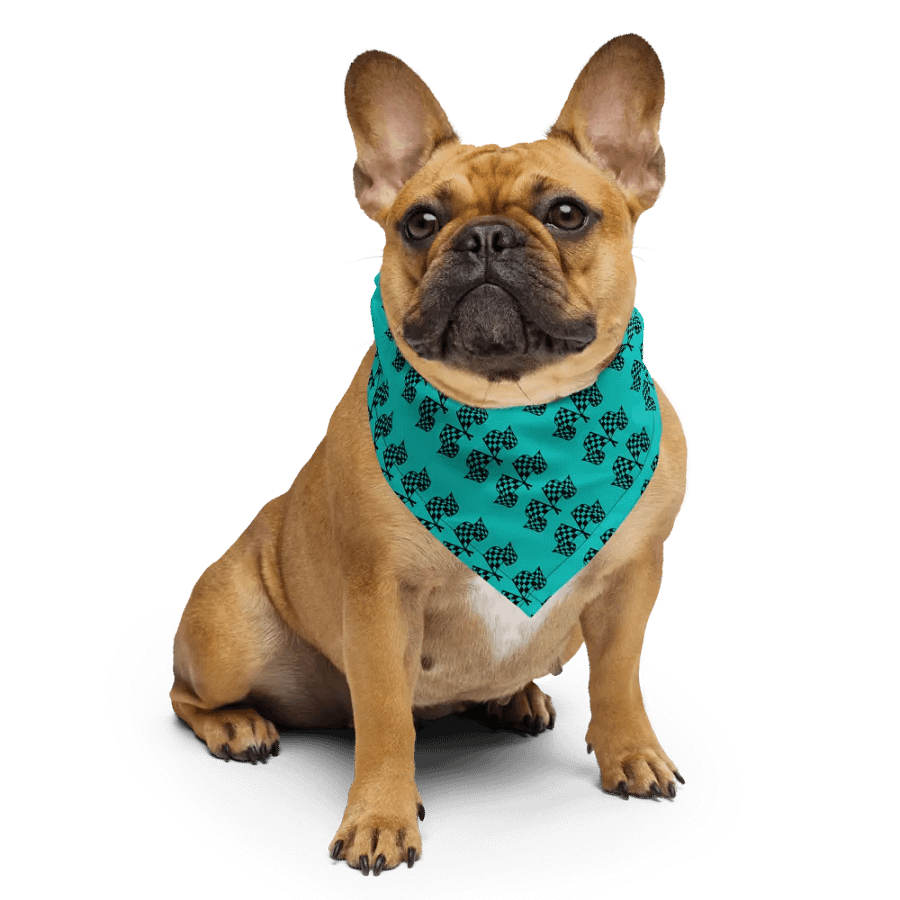 Let's Go To The Races Bandana product image (8)