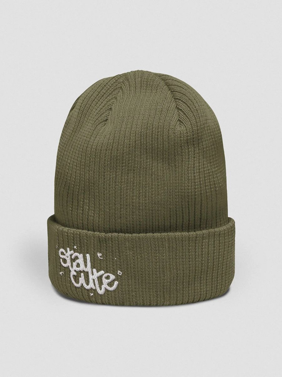 ˗ˏˋ ꒰ stay cute beechfield ribbed beanie ꒱ ˎˊ˗ product image (6)