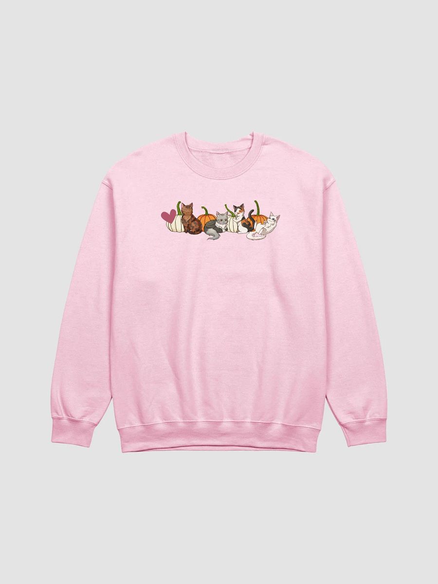 Pumpkin Patch Cats Sweatshirt product image (1)