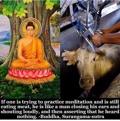 There is a link to being awake and seeing reality. Once you see you cannot un-see. If your choices are causing harm and pain ...