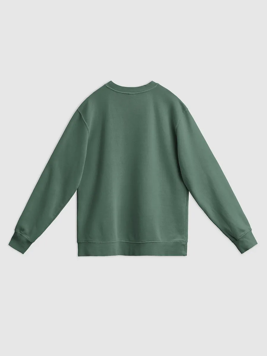BUSY-BRAINED (lined design, #96B697) printed pigment crewneck product image (9)