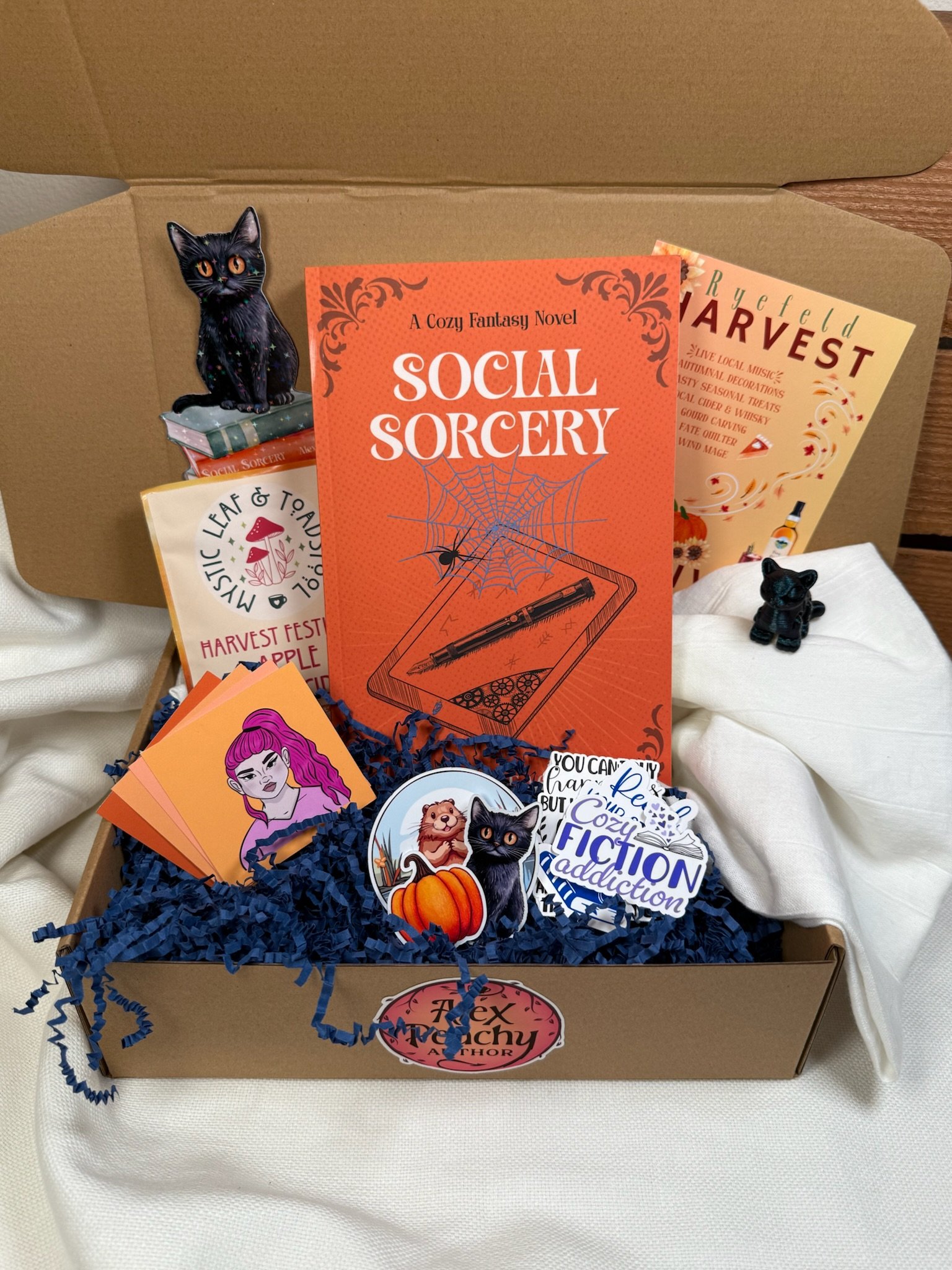 Social Sorcery Autographed Bookbox (Cat) product image (1)