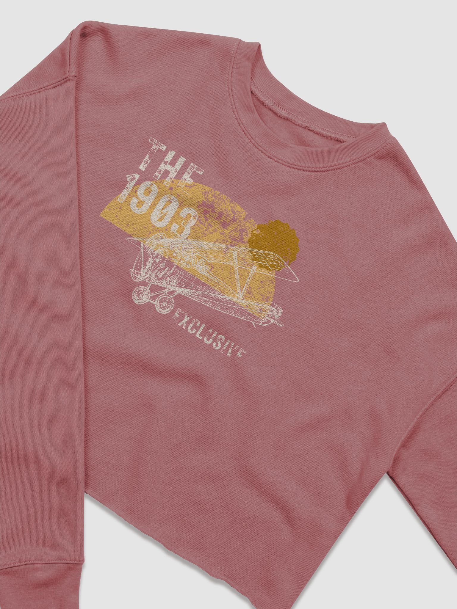 Ladies Cropped Bi Plane Sweatshirt product image (19)