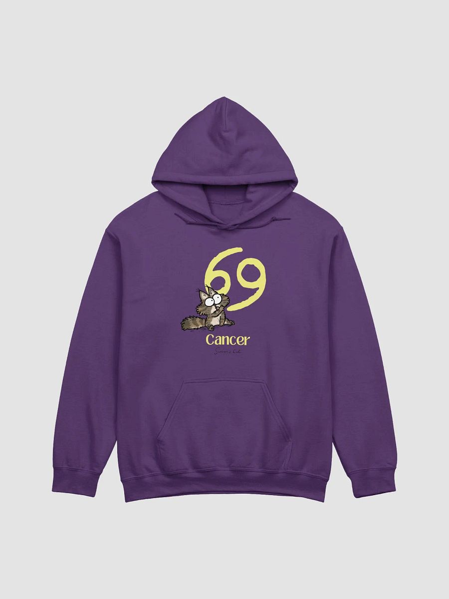 Cancer Kitten Hoodie product image (3)