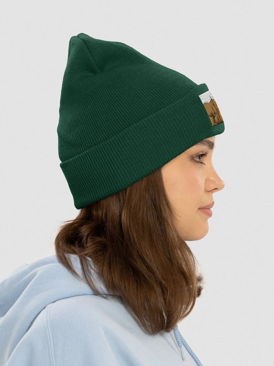 Ascension Themed Beanie product image (5)