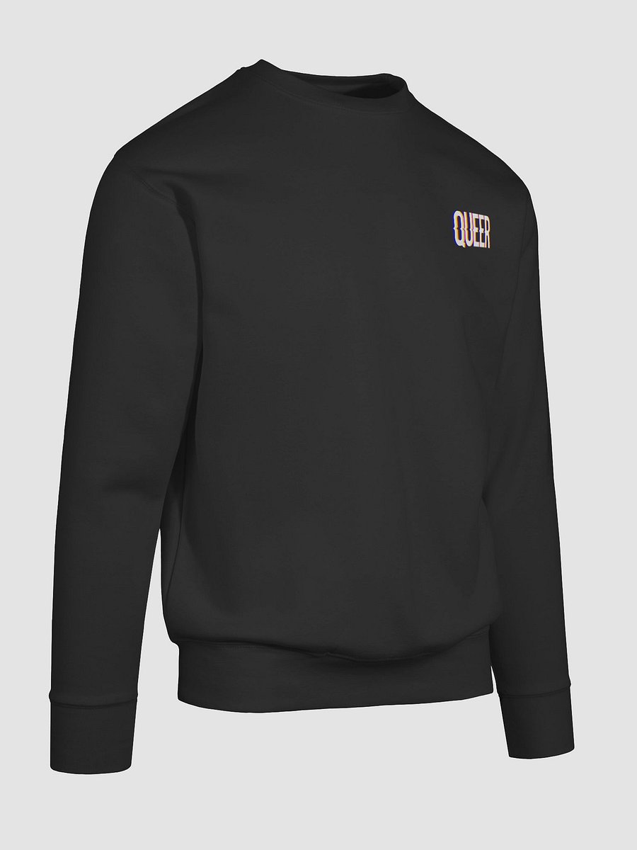 Vibrant Queer Statement Sweatshirt product image (29)