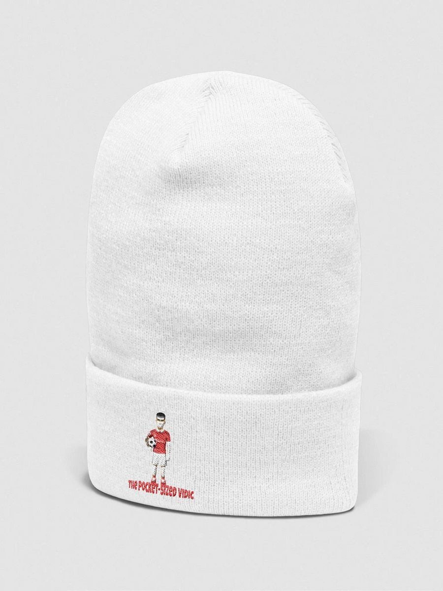 The Pocket-Sized Vidic Beanie product image (13)