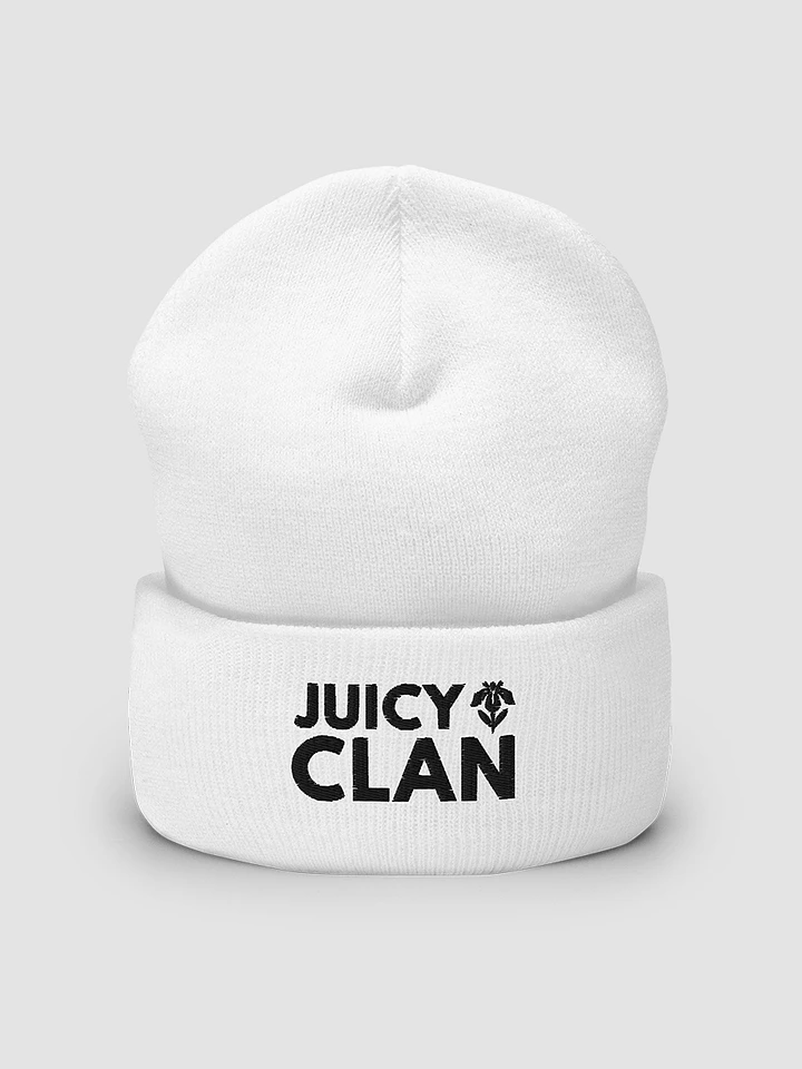 Embroidered Cuffed Beanie - JUICY CLAN product image (1)