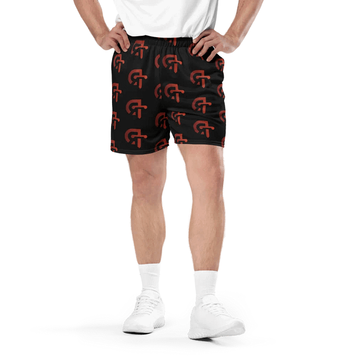 Dom's Roundtable Unisex Mesh Shorts product image (1)