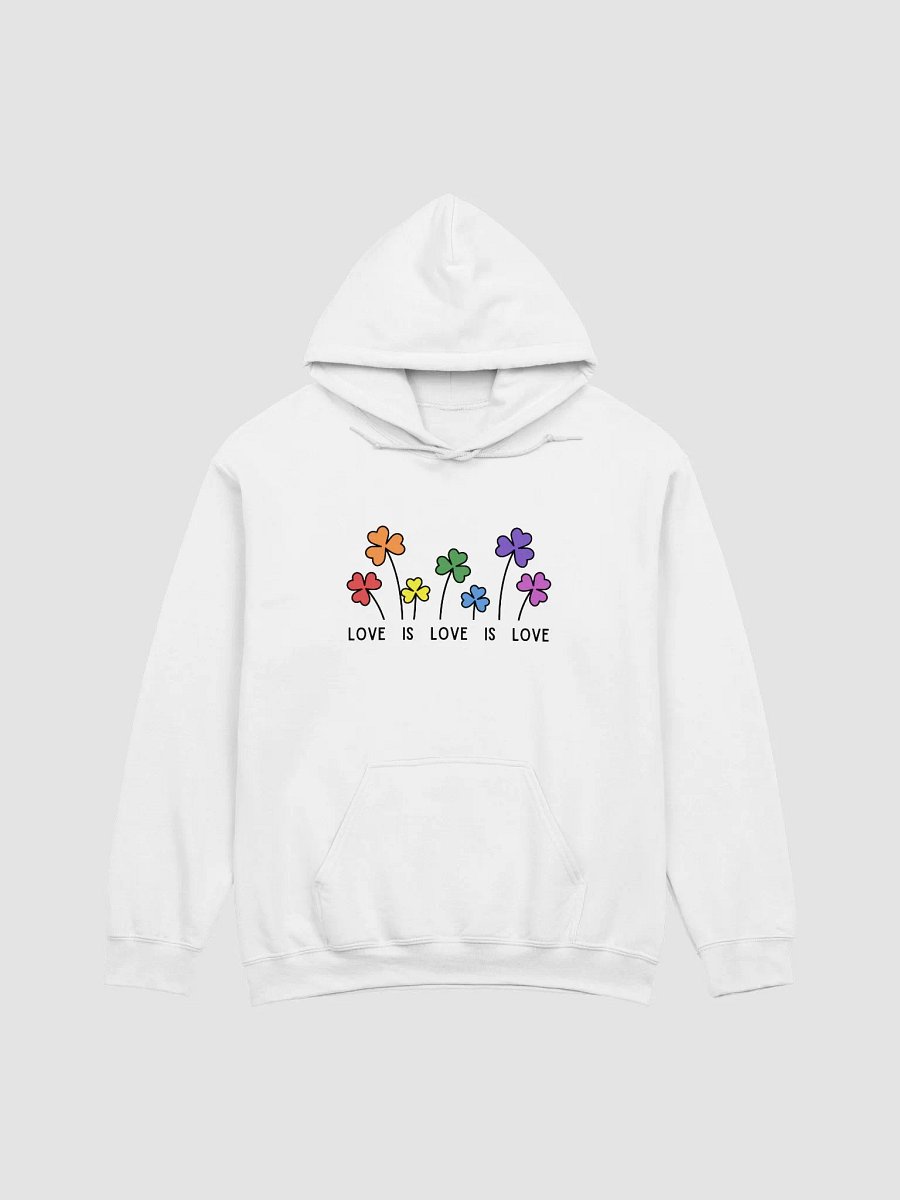 Pride Hoodie (Up to 5XL) product image (1)