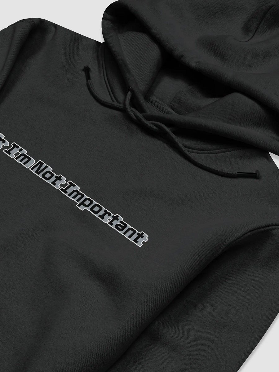 Unisex Essential Eco Hoodie - Mr I'm Not Important product image (3)