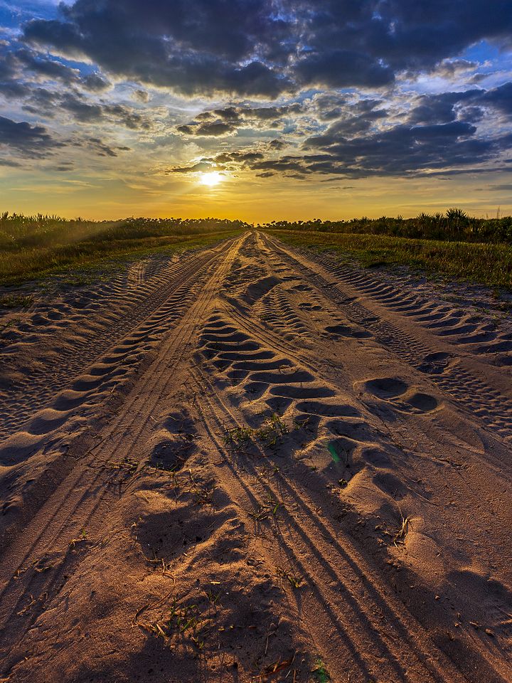Kissimmee Prairie Sunset product image (1)