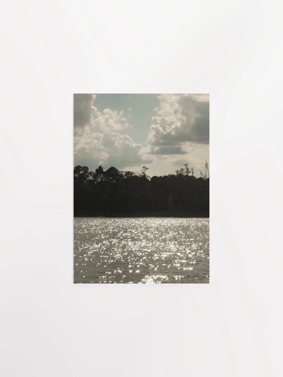 Florida Lake 4 product image (1)