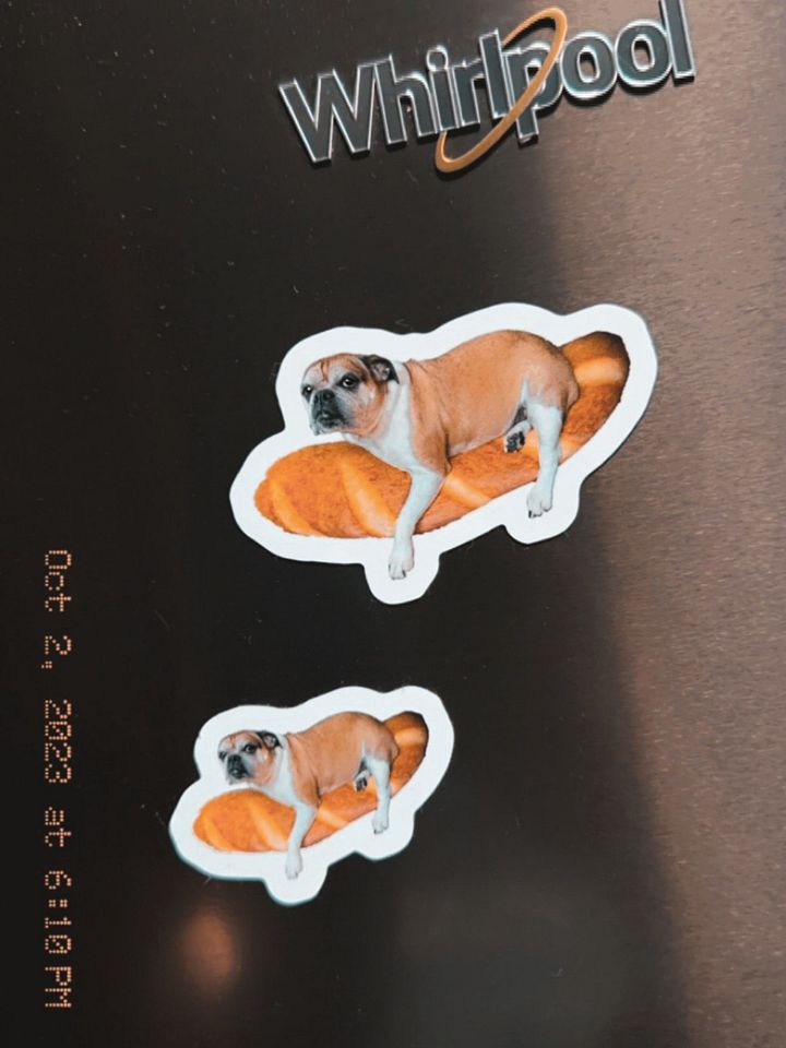 Layla Magnet (Set of 2) product image (1)