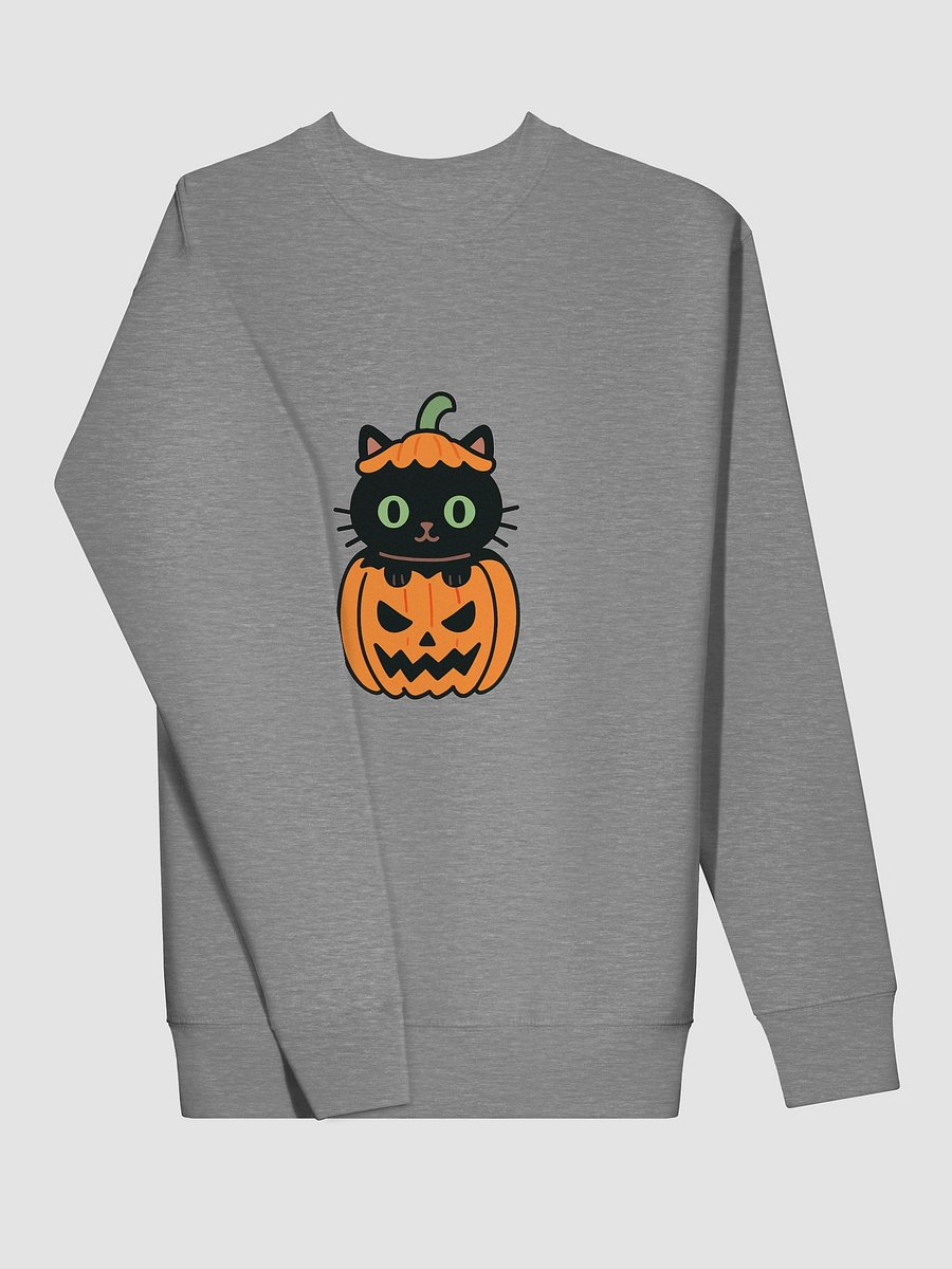 Whiskers & Lanterns Halloween Sweatshirt product image (12)