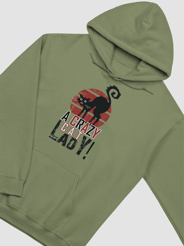 A Crazy Cat Lady product image (100)