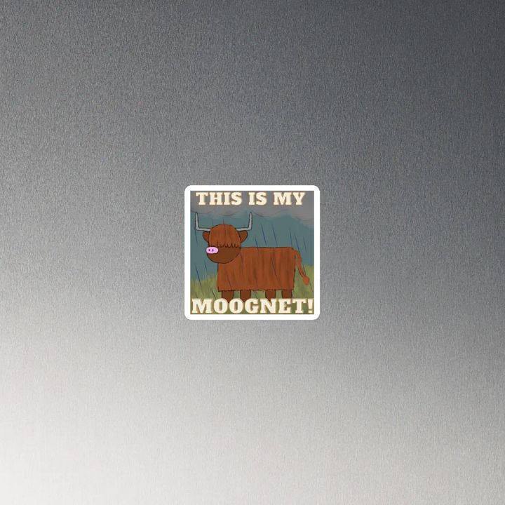 The MOOGNET product image (4)