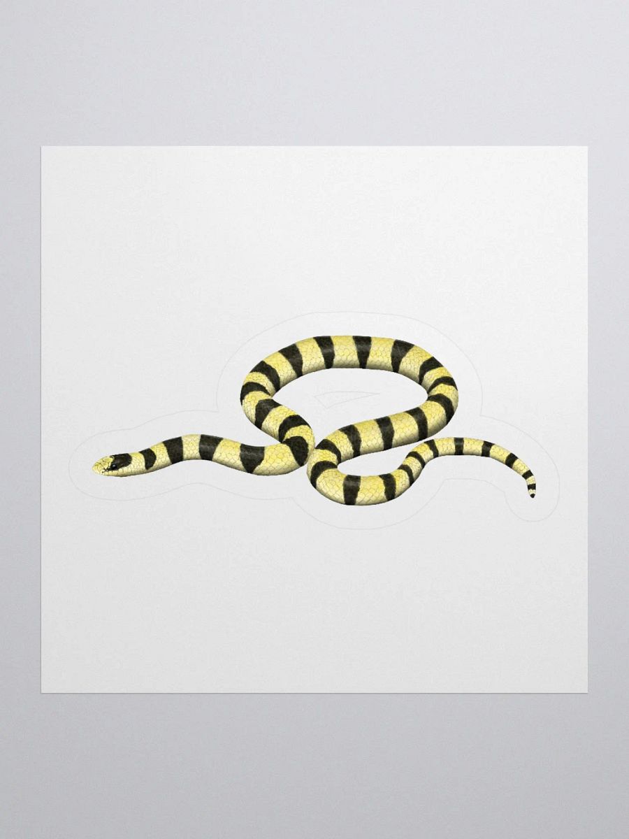 Die-Cut Sticker – Resplendent Shovelnosed Snake (Mohave Phase) product image (1)