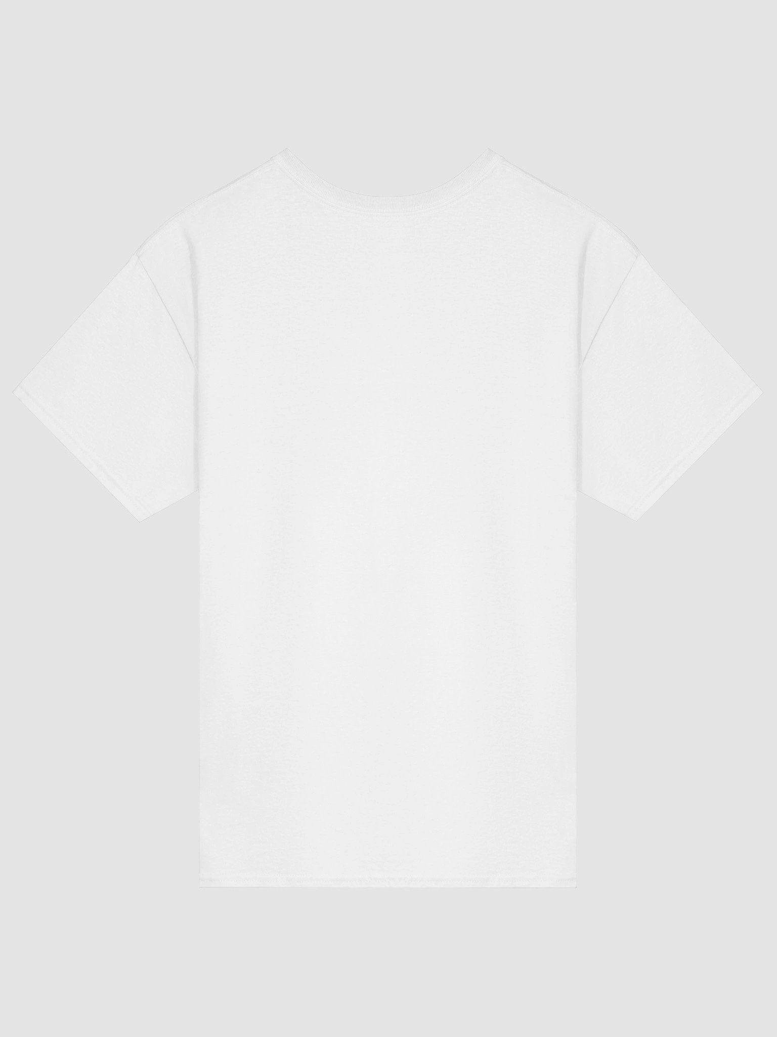 Copy of Virtruvian Frog Tee LIGHT product image (74)