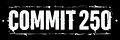 Commit 250 Store