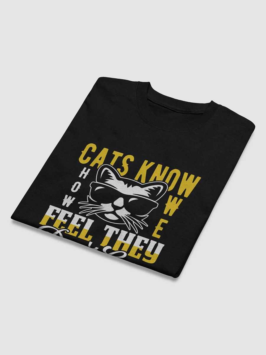 Cats know how you feel product image (22)